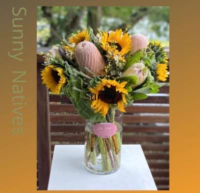Sunny Natives